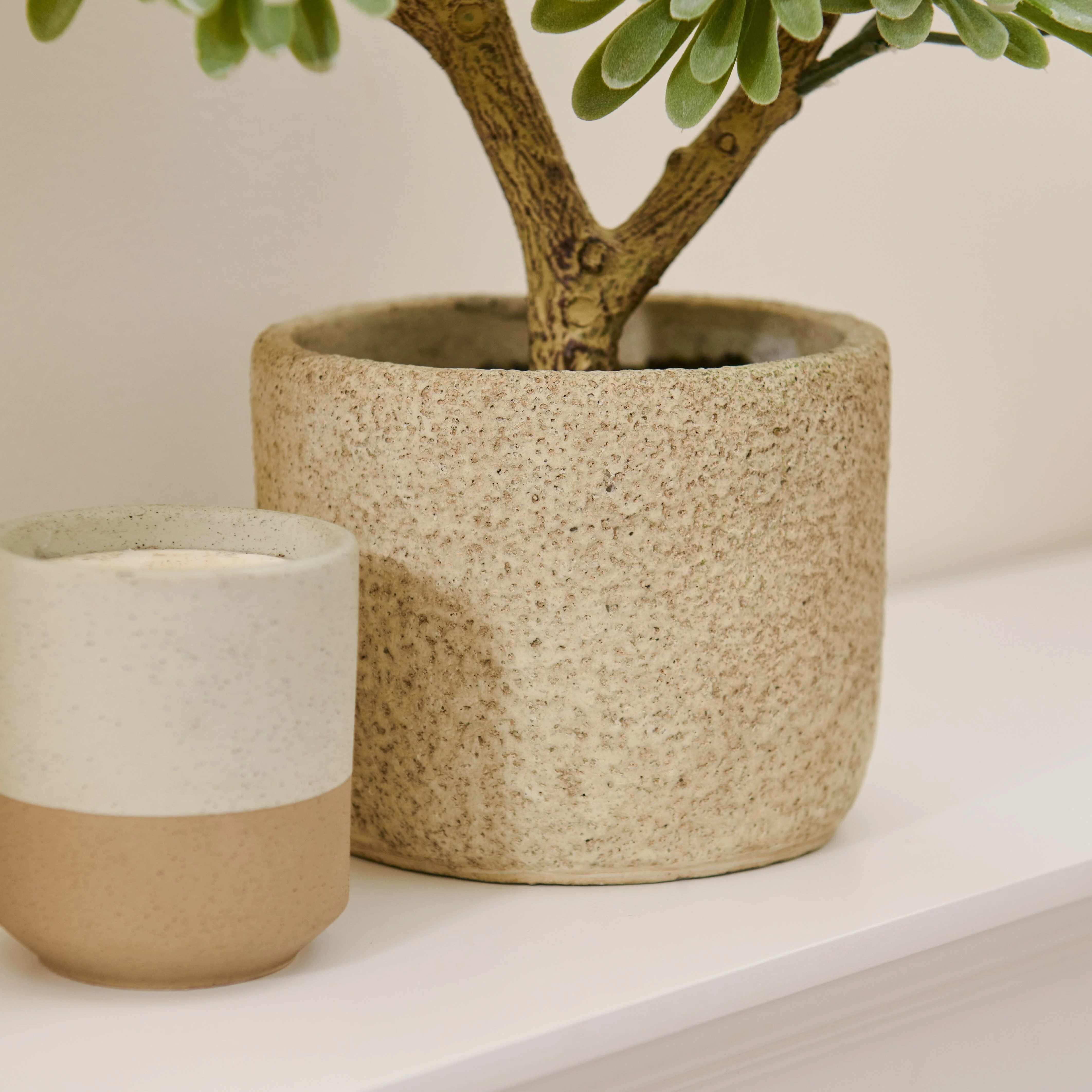 Kew Succulent in Cement Pot - 40cm - Image 2