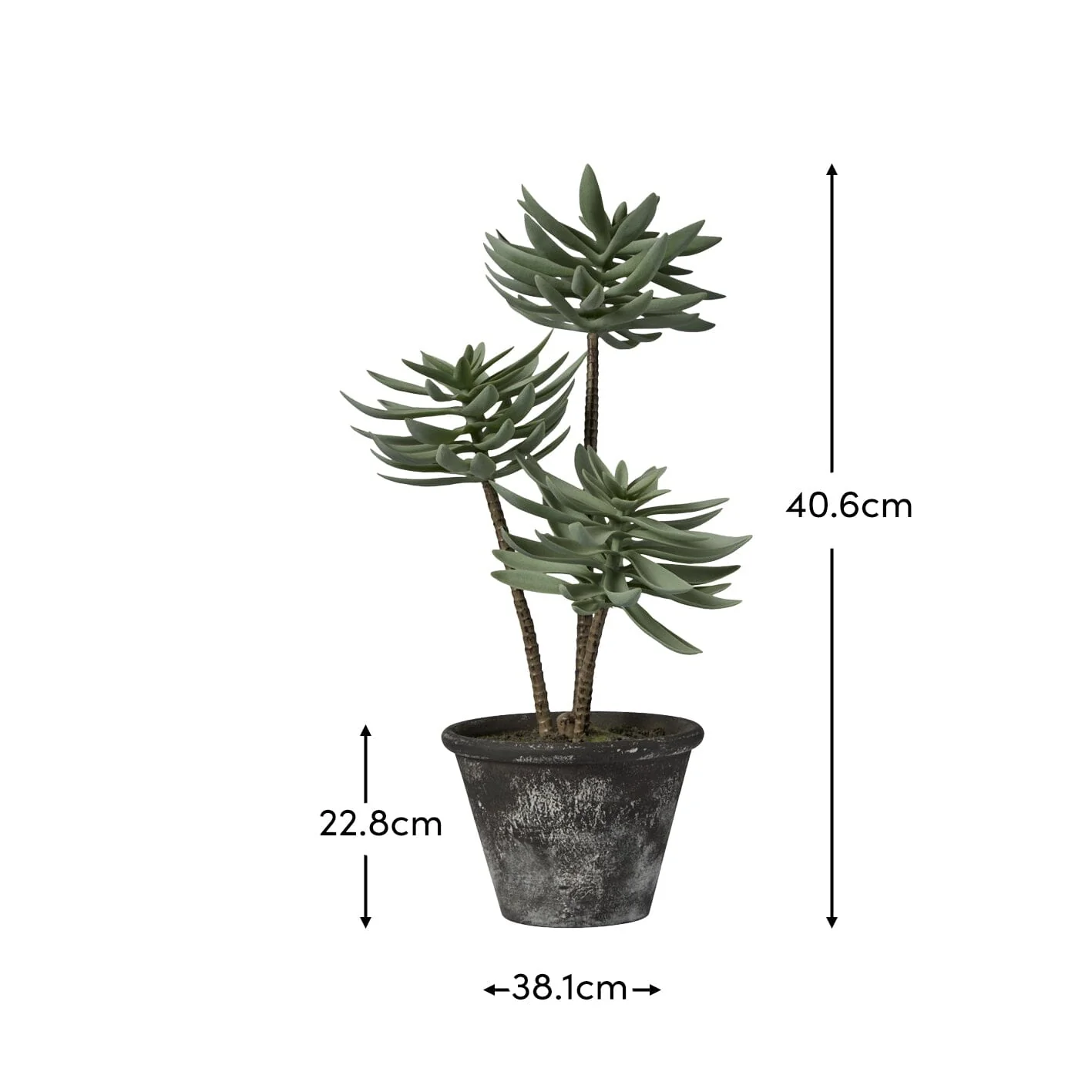 Kew 48cm Succulent In Paper Mache Pot - Image 6