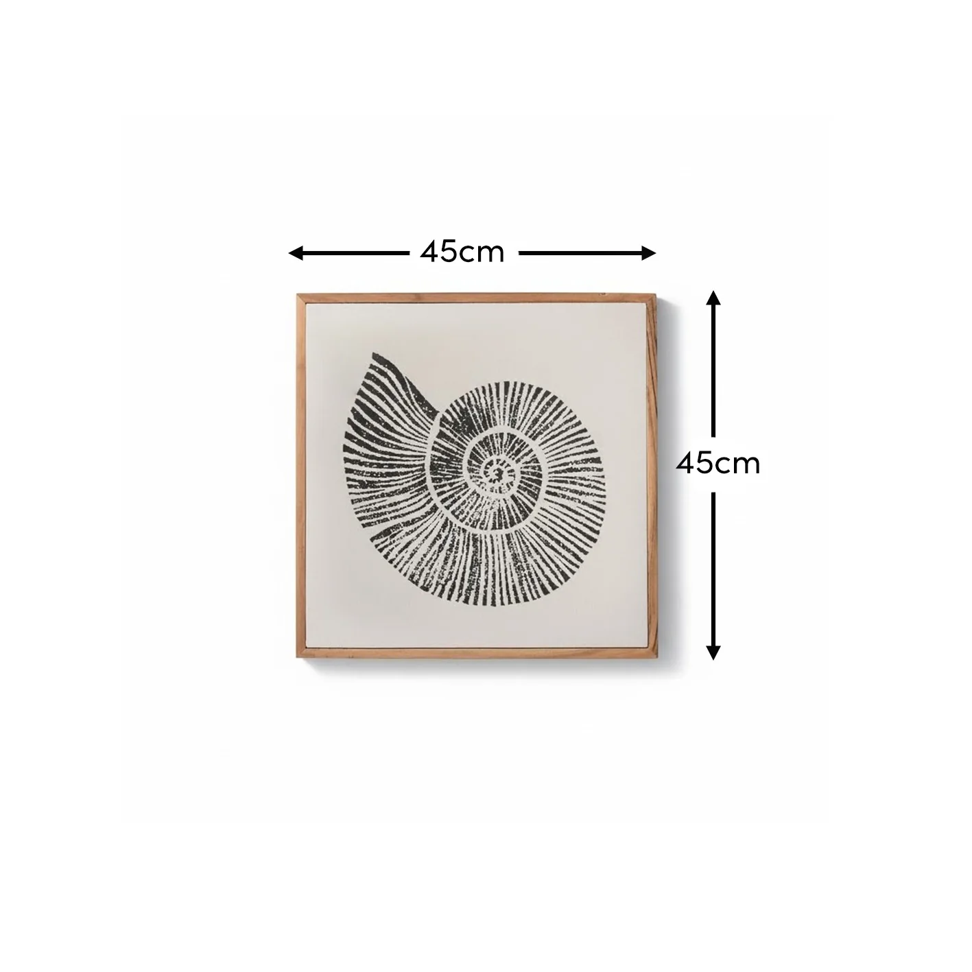 Newlyn 45x45cm Wall Art - Shell II - Image 7