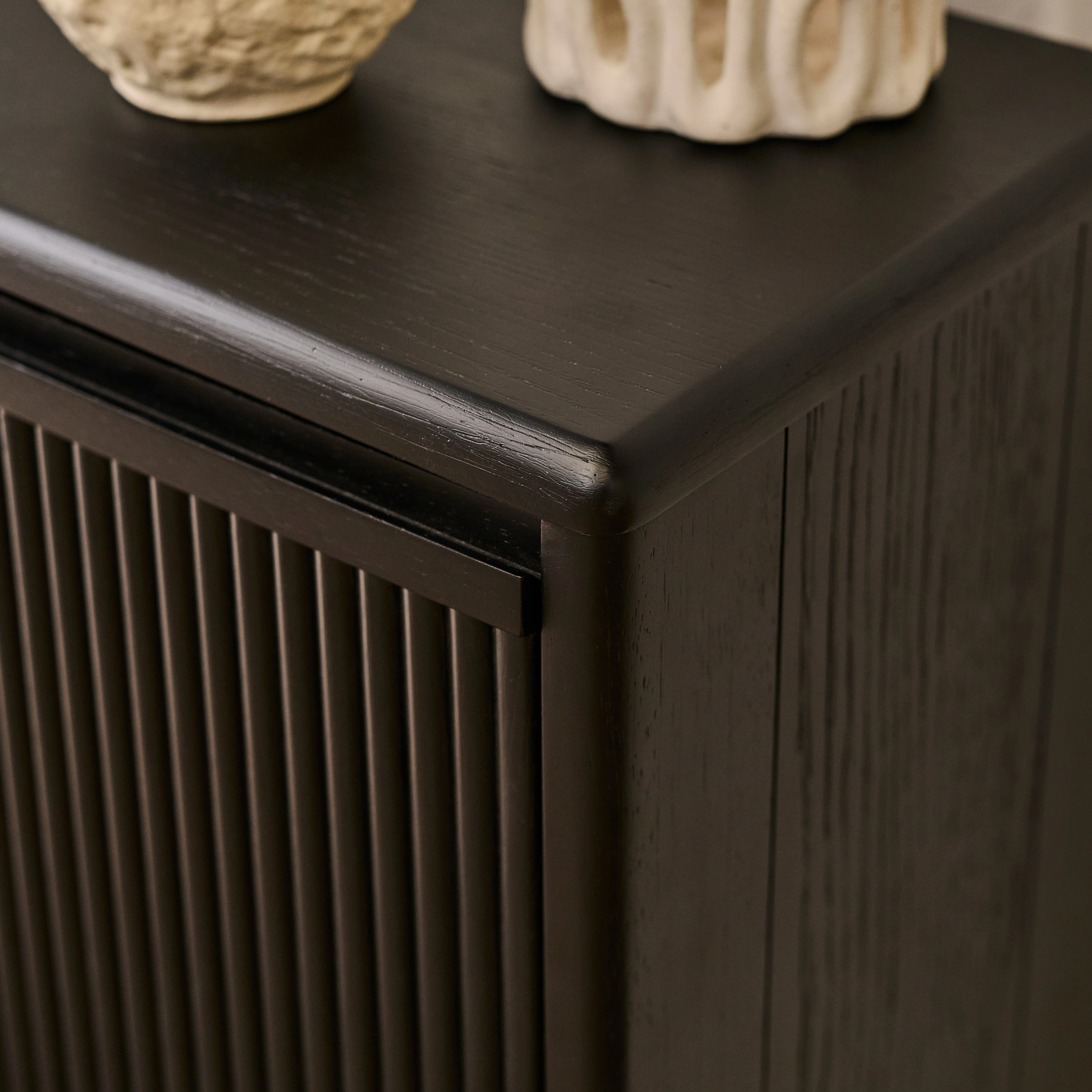 Raleigh 2 Door Shoe Cabinet - Black - Image 5